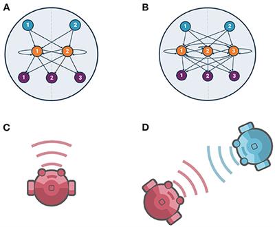 Shrunken Social Brains? A Minimal Model of the Role of Social Interaction in Neural Complexity